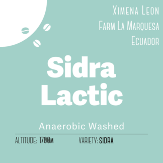 SIDRA LEON LACTIC WASHED - ECUADOR / シドラ レオン ラクティック ウォッシュト - 100g