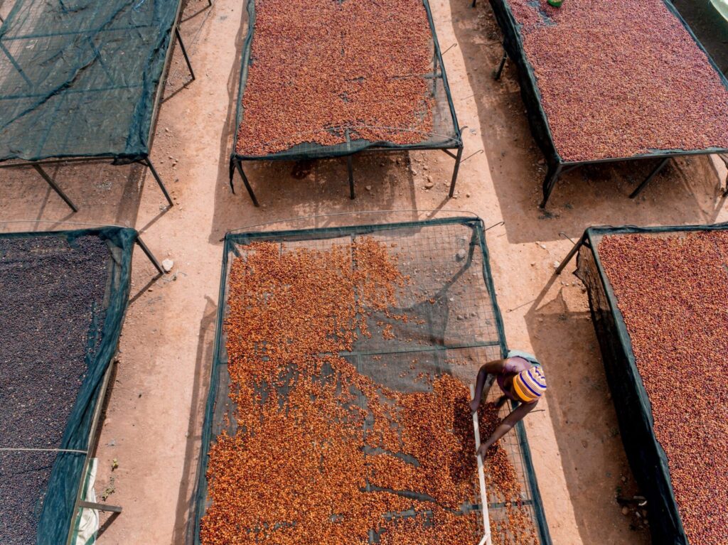 Uganda bulambuli